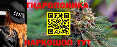 крисы Чебоксары