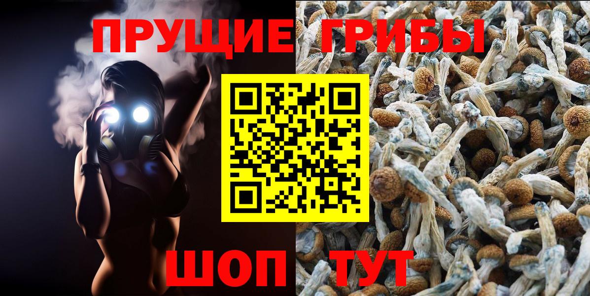 Галлюциногенные грибы MAGIC MUSHROOMS Белогорск