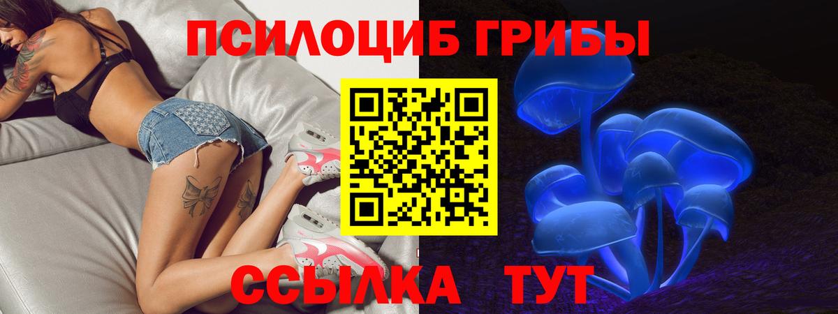 хочу   Вход с VPN  Белогорск  Псилоцибиновые грибы Psilocybe 